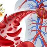 improve blood circulation supplement